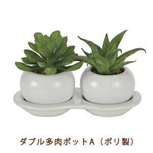 ̊y (2109A25-67) _u  |bg A ( | )  99503