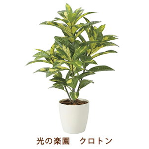 ̊y (2213A100-67) Ng  99505