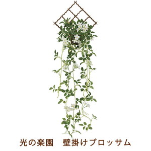 ̊y (2233A80-71) Ǌ| ubT  99510