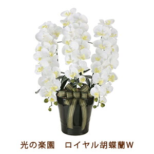 y|Cg3{ Ԍz̊y (2291A200-76) C Ӓ W  99518