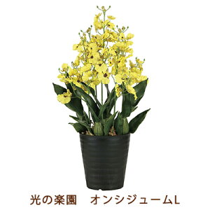 ̊y (2262A70-92) IVW[ L  99526