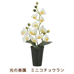 ̊y (2260A50-95) ~j R`E  99531