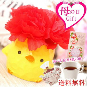 y|Cg3{ Ԍz ҂悩  J[l[V Iׂ Mtg ( gorΌ ) Zbg  [piyopiyo03]  95054