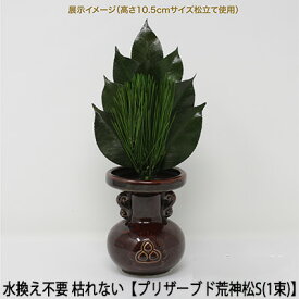 【ポイント3倍 期間限定】 ●(郵送) 水換え不要 枯れない 榊 プリザーブド 荒神松 S（1束） [KJM-004PS] A＆K 送料無料 75594