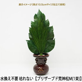 【ポイント3倍 期間限定】 ●(郵送) 水換え不要 枯れない 榊 プリザーブド 荒神松 M（1束） [KJM-003P] A＆K 送料無料 75595
