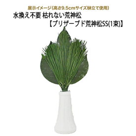 【ポイント3倍 期間限定】 ●(郵送) 水換え不要 枯れない 榊 プリザーブド 荒神松 SS（1束） [KJM-005SS] A＆K 送料無料 75596