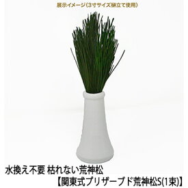【ポイント3倍 期間限定】 ●(郵送) 水換え不要 枯れない 榊 関東式 プリザーブド 荒神松 S（1束） [KKJ-01S] A＆K 送料無料 75597