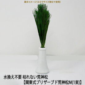【ポイント3倍 期間限定】 ●(郵送) 水換え不要 枯れない 榊 関東式 プリザーブド 荒神松 M（1束） [KKJ-02M] A＆K 送料無料 75598