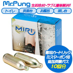 ~X^[| pǉY_KX10񕪁imrpung_grassj 77317