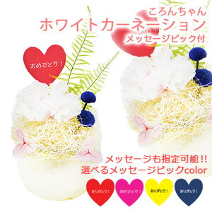  xJbv AW 񂿂 zCg J[l[V bZ[W sbNt [ BC-011C ] AK uU[uht[  75763