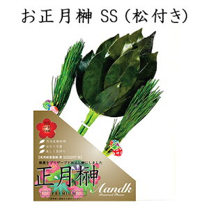 y|Cg3{ Ԍz (X)  SS (t) (1) [SKK-013SS] A&K  vU[uh  75871