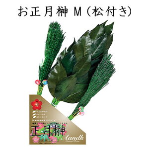 (X)  M (t) (1) [SKK-015M] A&K  vU[uh  75873