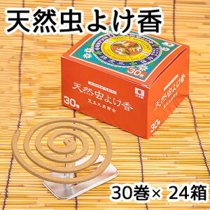 y3%OFF Ԍz  VR 悯 30 × 24 (1P[X)  61213