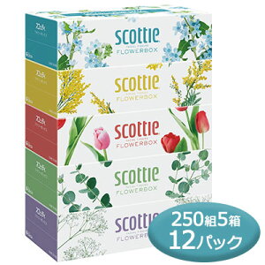 y|Cg3{ ԌzXRbeB eBV[ t[{bNX 250g 5pbN ×12pbN scottie eBbVy[p[  00085