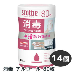 XRbeB EFbgeBV[  AR[ 80 ×14 w oC  CRECIA scottie  01417