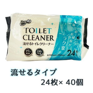 y5%OFF Ԍz aH Ny Life  gCN[i[ 24 ×40 EFbg 99% TOILET CLEANER  77349
