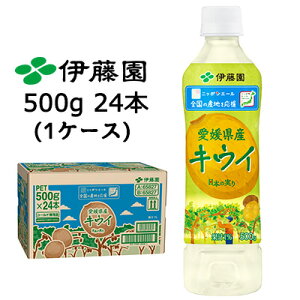 ɓ jb|G[ QY LEC 500g PET 24{ (1P[X) {̎  43793