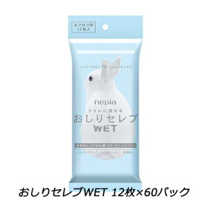 y|Cg3{ ԌzZu EFbg^CṽgCbgy[p[ łp12×60 ܂Ƃߔ  01830