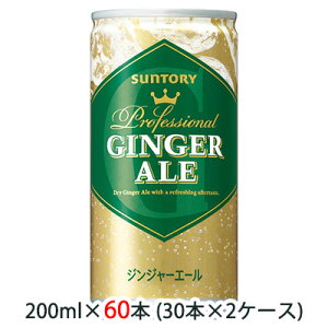 [] Tg[ WW[G[ ( GINGER ALE ) 200ml  Ɩp 60{ ( 30{×2P[X )  48588