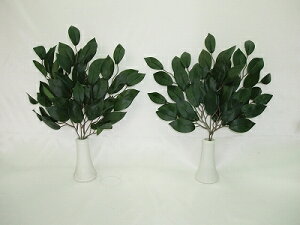 yWP-101z  WP101 Zbg  93517