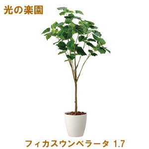 �y�l�l�w���\�z�����̊y�� (2117A430-51) �t�B�J�X�E���x���[�^ 1.7 �������� 95102