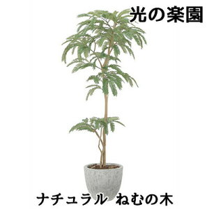 �y�|�C���g3�{ 5/9 20������z�y�l�l�w���\�z�� ���̊y�� (2517A570) �i�`������ �˂ނ̖� ���� �l�H �ϗt�A�� �t�F�C�N�O���[�����G�} �������� 94307