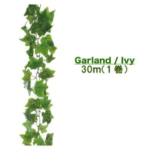 �y�l�l�w���\�z�� ���� �ǖʗΉ� �y���ԁz �K�[�����h �A�C�r�[ 1�� 30m [Gla-1183ab] �������� 94115