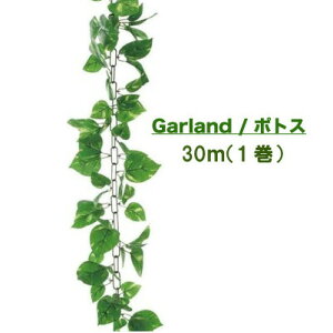 �y�l�l�w���\�z���ǖʗΉ� �y���ԁz �K�[�����h �|�g�X 1�� 30m [Gla-1184ab] �������� 94114