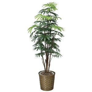 �y�l�l�w���\�z�����̊y�� (500K400-34) �V�����`�N1.6 �������� 92399