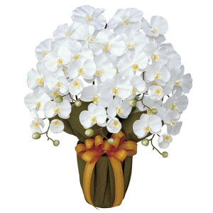 �y�|�C���g3�{ 4/4 20������z �y�l�l�w���\�z�����̊y�� (452A80-80) �G���K���g�Ӓ���W �������� 92654