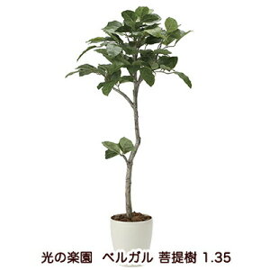 �y�|�C���g3�{ 5/9 20������z�y�l�l�w���\�z�����̊y�� (2031K255-48) �x���K�� ���� 1.35 �������� 94185