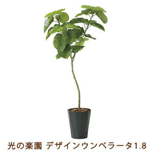 �y�l�l�w���\�z�����̊y�� (2258K400-51) �f�U�C�� �E���x���[�^ 1.8 �������� 99470