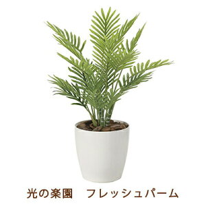 �y�l�l�w���\�z�����̊y�� (2217A50-63) �t���b�V�� �p�[�� �������� 99497