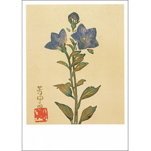 G͂qԙ}撟 j[r F NA-84