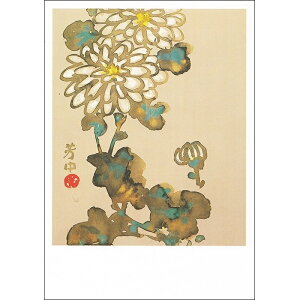 G͂qԙ}撟 er F NA-85