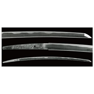 ^͂ G͂q  ⻖ a珊 @ {(ԉ)r  TW-018