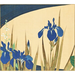 F lGԒ}   Ԕh ΂ q m { G