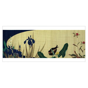 ^͂ G͂qlGԒ}()ār TW-002