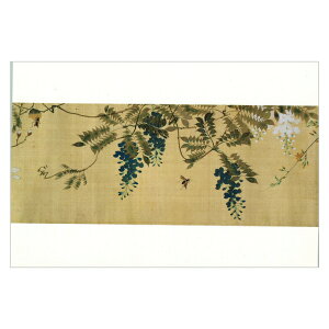 G͂ qlGԒ}ijār  T-243