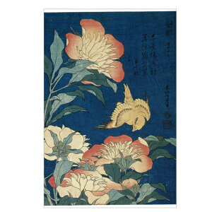 G ObY |XgJ[h G͂ q䉖 JiAr k֕M TB-014 k A[gObY { 悦
