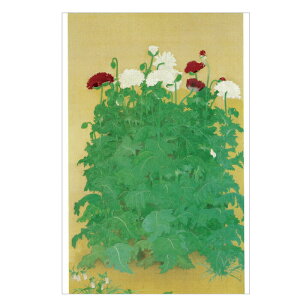 G͂ qHqr ьÌaM T-045