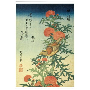 G ObY |XgJ[h G͂ qE@Hr k֕M TB-020 k A[gObY { 悦