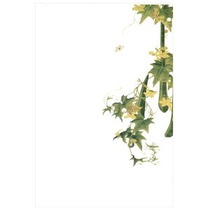 G͂ qZQ}ijr ɓtM@NA-036