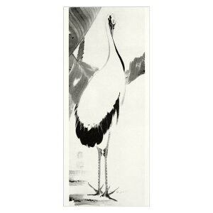 R^Cv^͂ qmԔߐ}r ɓtM