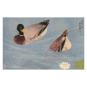 コロタイプ絵はがき〈季趣五題 なつはじめ 鴨〉 橋口五葉 BC-019