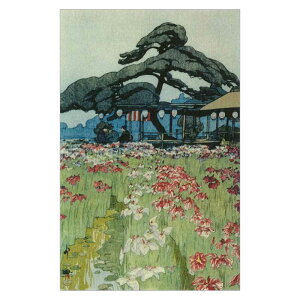 R^CvG͂qGܑ Ȃ͂߁@x؎u悤ԁr gc@BC-021