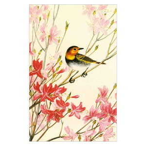 R^CvG͂qGܑ ͂邩@R}hƃAP{mccWr򏟎Ey@BC-058