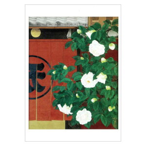 G͂q͒ցrXc肦qM NB-050