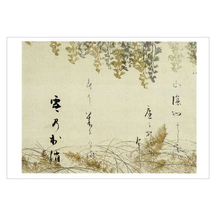 楽天市場】【DM便可】 絵はがき〈忍草下絵和歌巻断簡〉本阿弥光悦書 