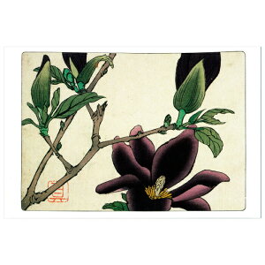 G͂qΖ效 ؘ@rēc^ TB-058